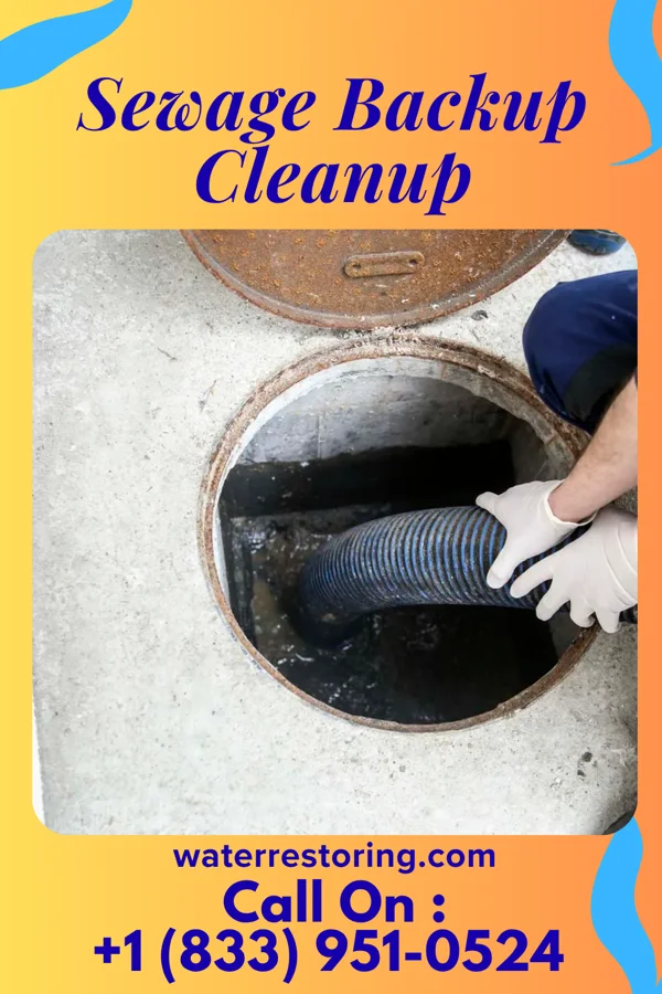 Sewage Backup Cleanup in El Lago, TX