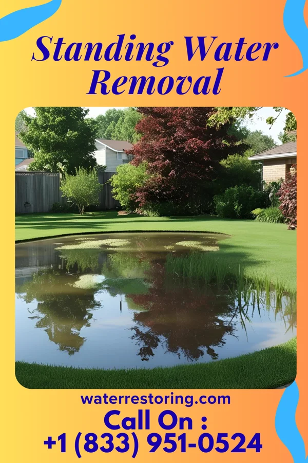 Standing Water Removal in El Lago, TX